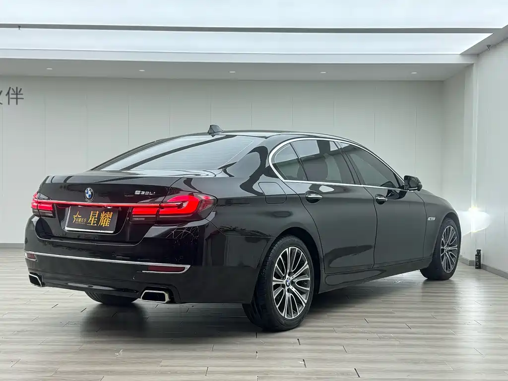 BMW 5 Series 2014 — фото 19