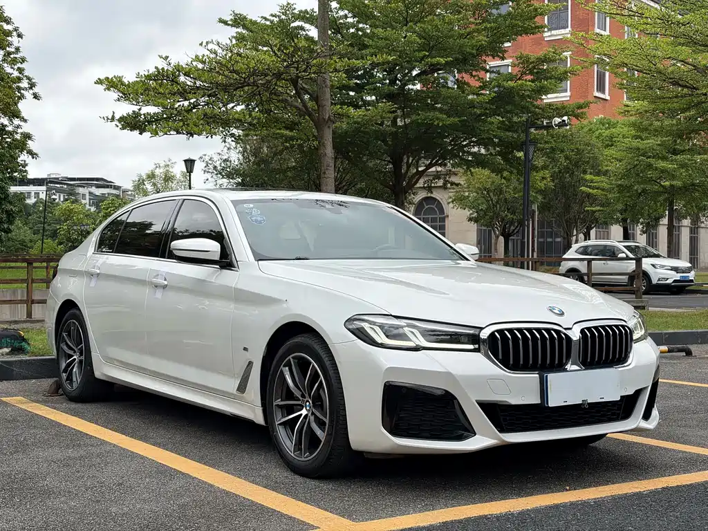 BMW 5 Series 2021