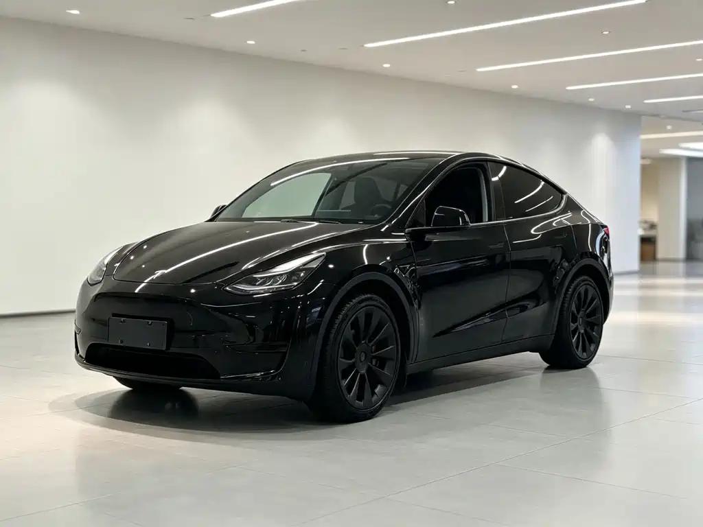 Tesla Model Y 2023 — фото 1