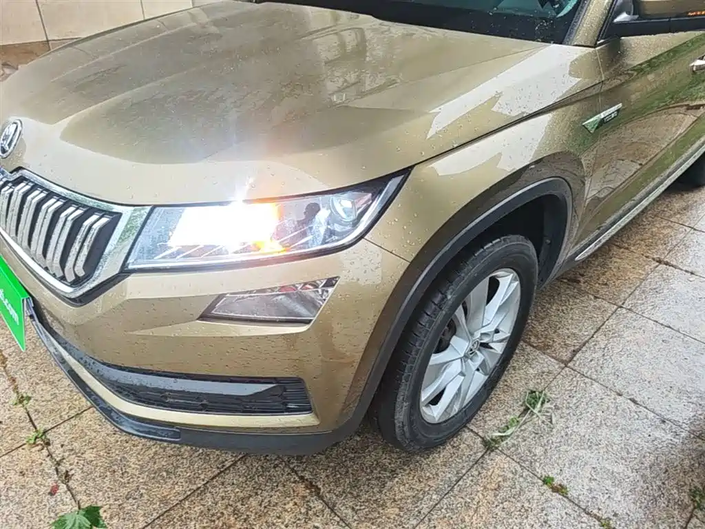 Skoda Kodiaq 2018 — фото 24