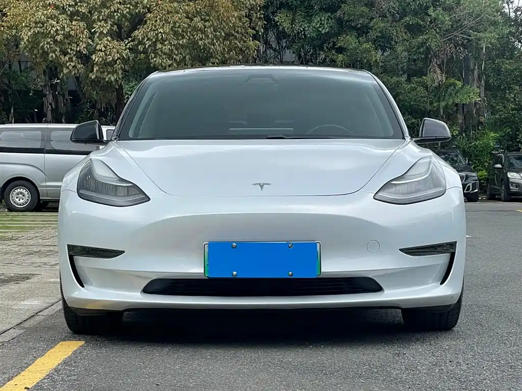Tesla Model 3 2019 — фото 2