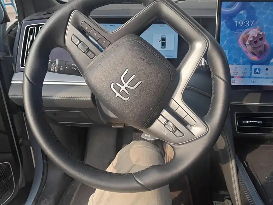 BYD Song L DM-i 2025 — фото 15