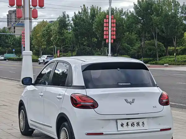 Wuling Bingo 2024