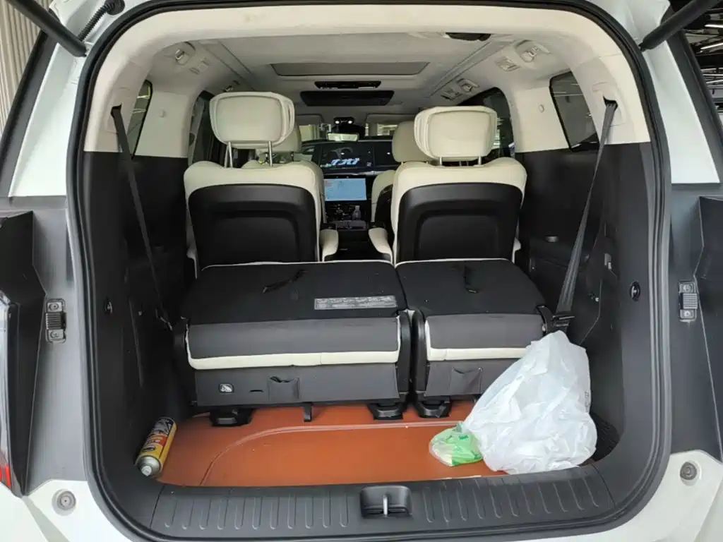 GAC Trumpchi E9 2023 — фото 19