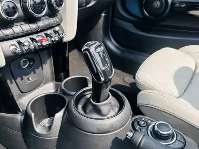 MINI MINI 2022