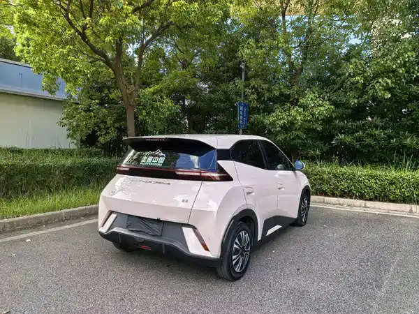 BYD Seagull 2024