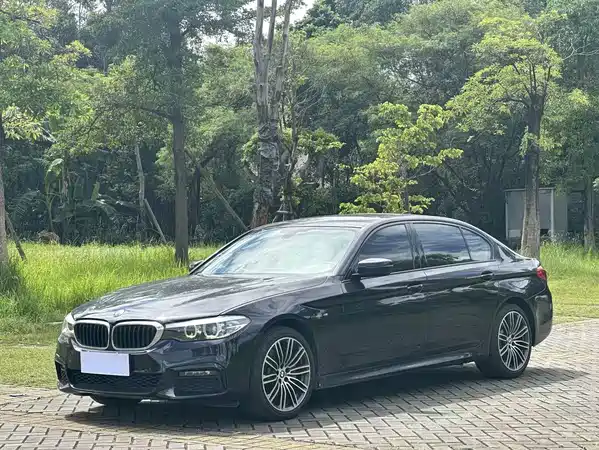 BMW 5 Series 2019
