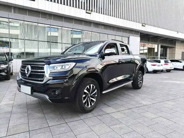 Great Wall Poer 2024