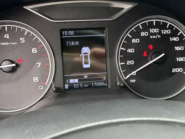 Dongfeng Palasso 2021