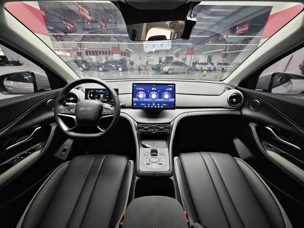 BYD Sealion 05 DM-i 2024 — фото 4