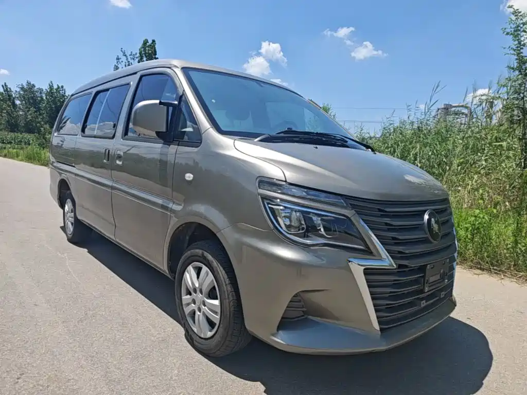 Dongfeng Lingzhi 2024