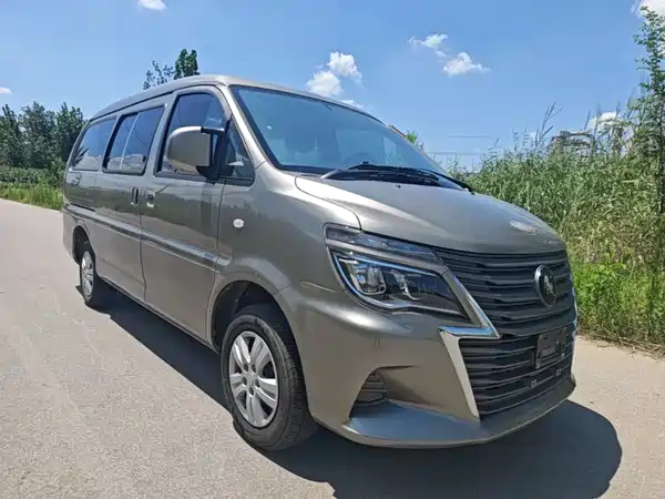 Dongfeng Lingzhi 2024