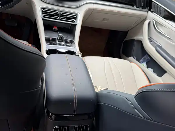 BYD Song PLUS New Energy 2025