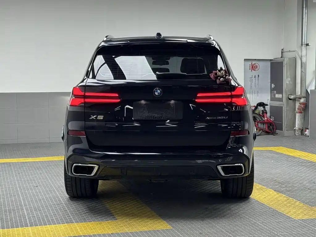 BMW X5 2025 — фото 6