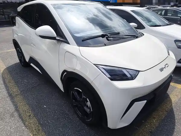 BYD Seagull 2024