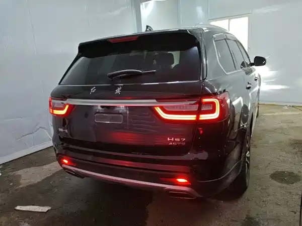 Hongqi HS7 2021