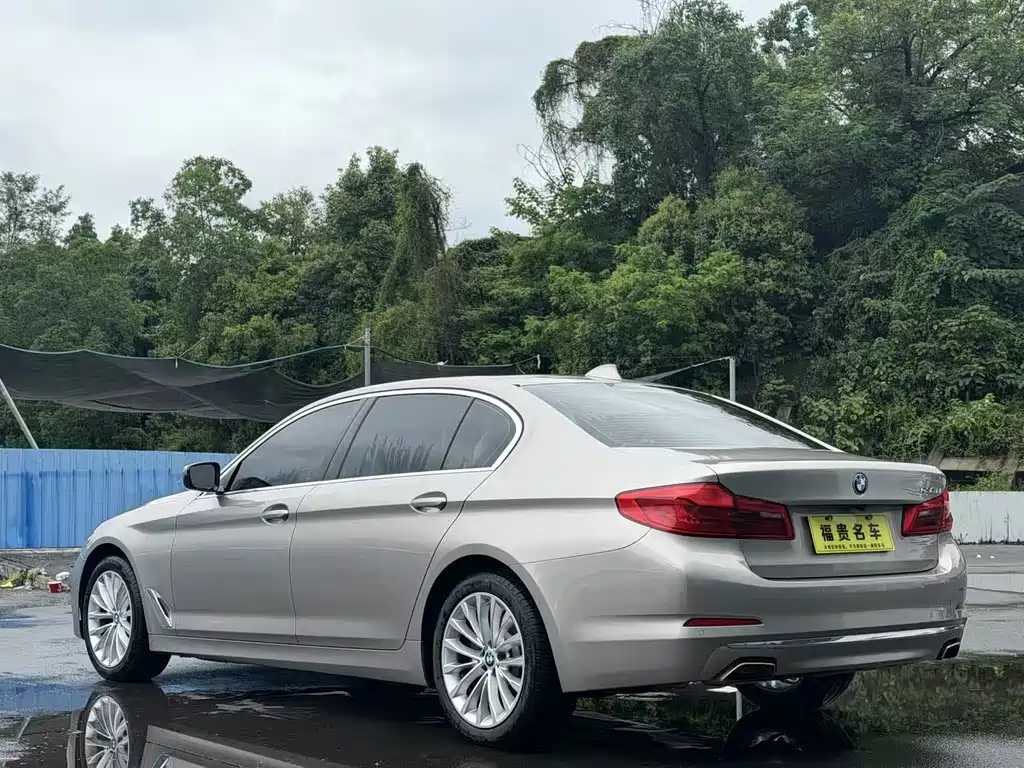 BMW 5 Series 2019