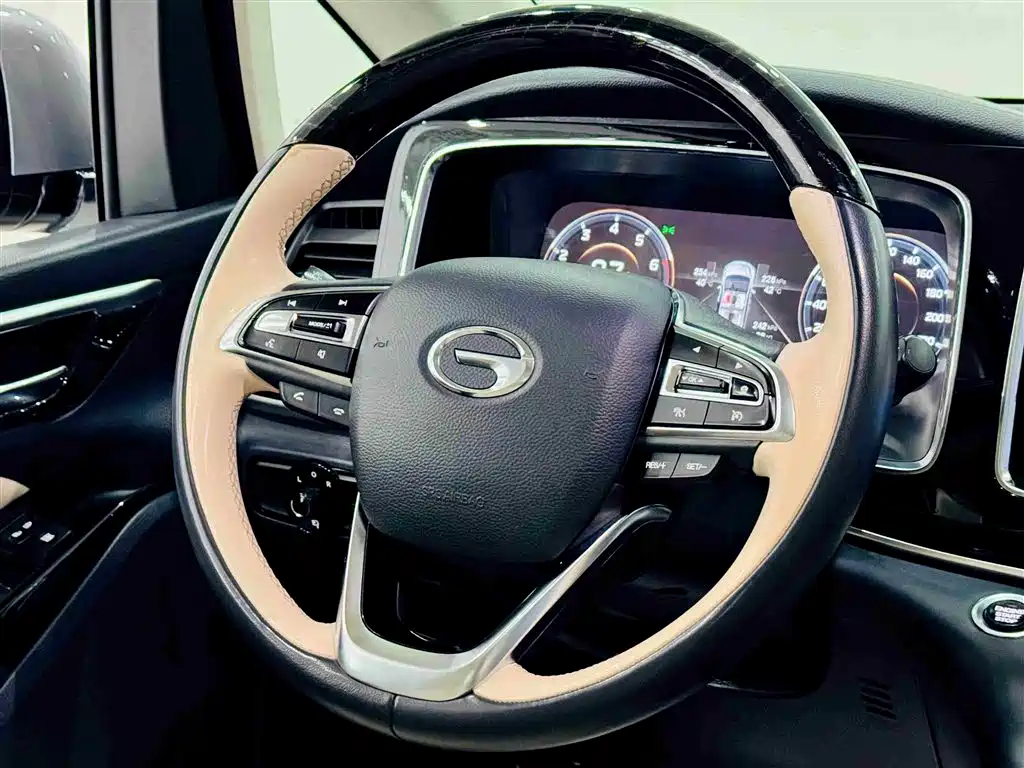 GAC Motor Trumpchi M8 2022 — фото 19