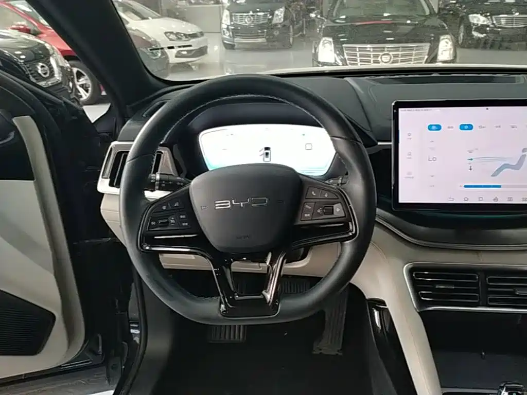 BYD Song PLUS New Energy 2024 — фото 11