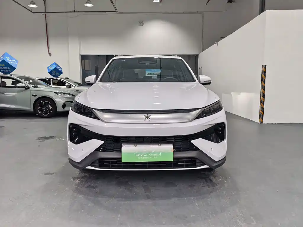 BYD Song Pro New Energy 2025 — фото 2