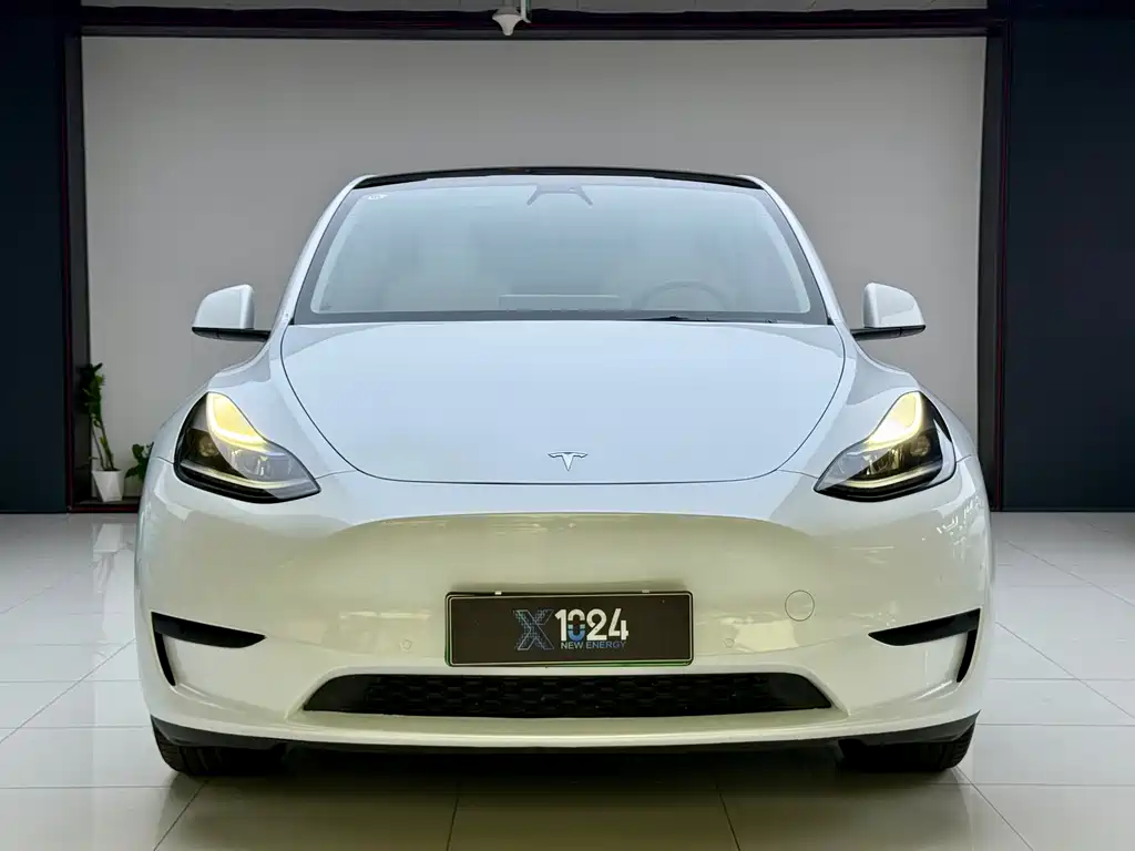 Tesla Model Y 2023 — фото 2