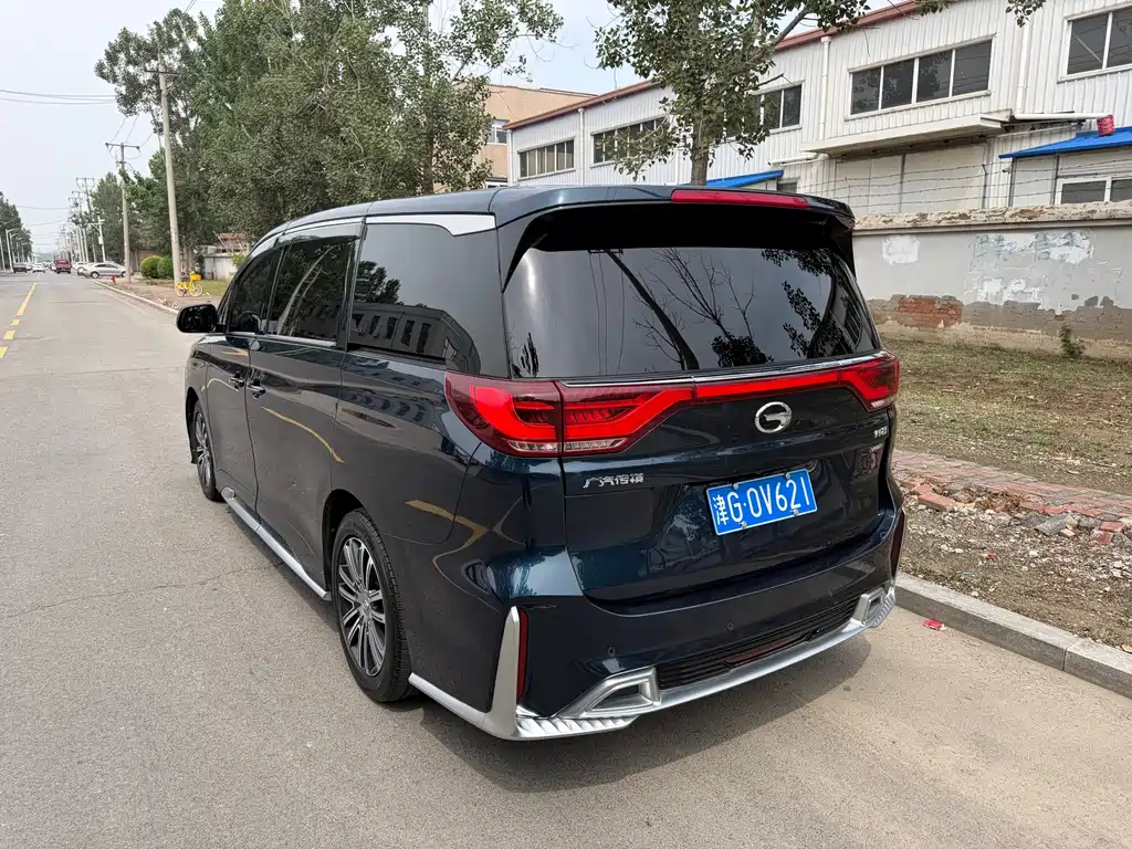 GAC Motor Trumpchi M8 2020 — фото 13