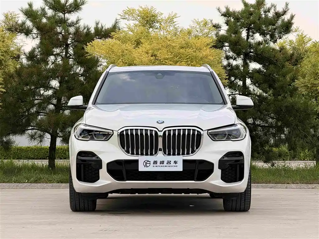 BMW X5 2022