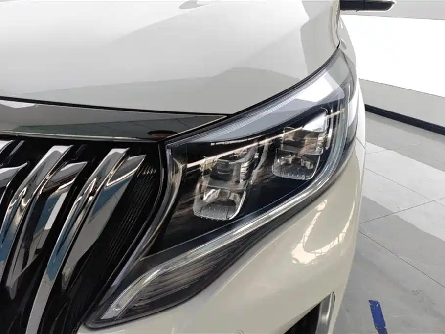 GAC Motor Trumpchi M8 2021 — фото 5