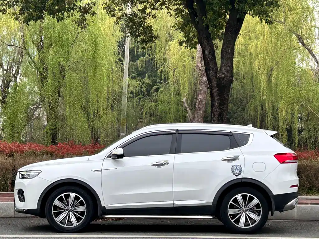 Haval H6 2021 — фото 3