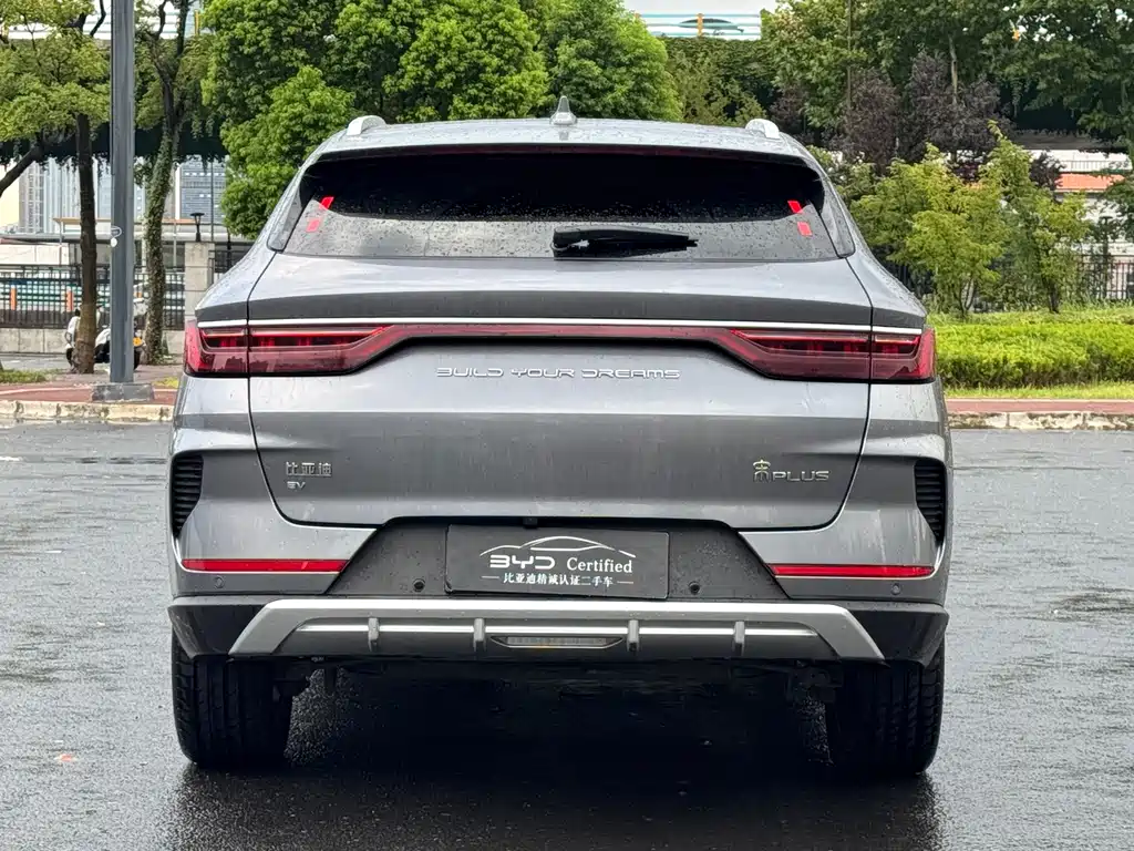 BYD Song PLUS New Energy 2021 — фото 13