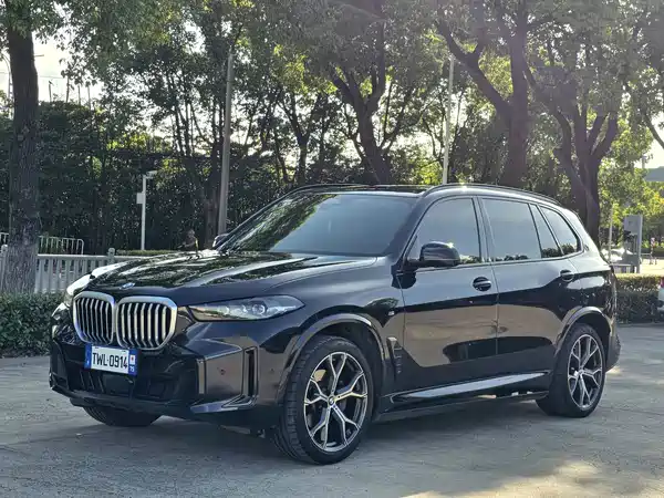 BMW X5 2024