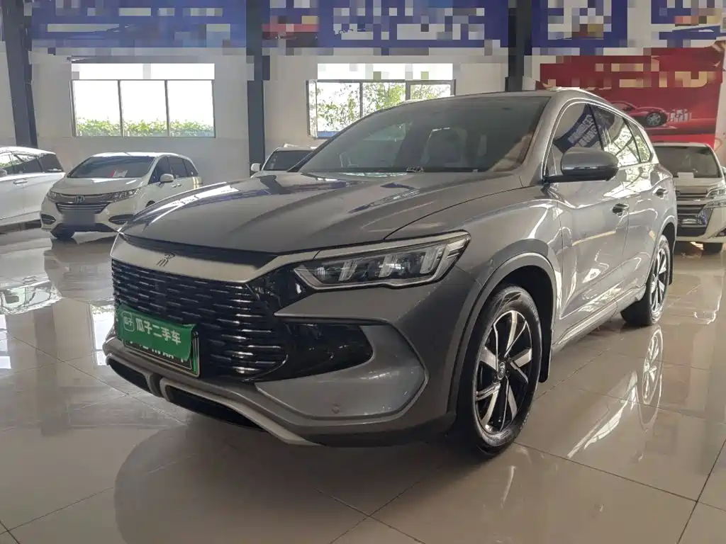 BYD Song Pro New Energy 2025 — фото 1