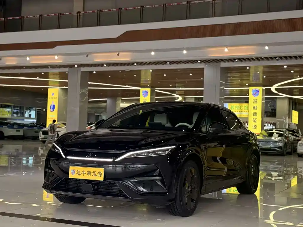 BYD L EV 2024