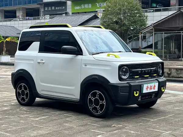 Geely Galaxy Panda 2024