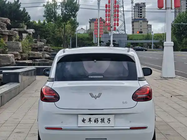 Wuling Bingo 2024