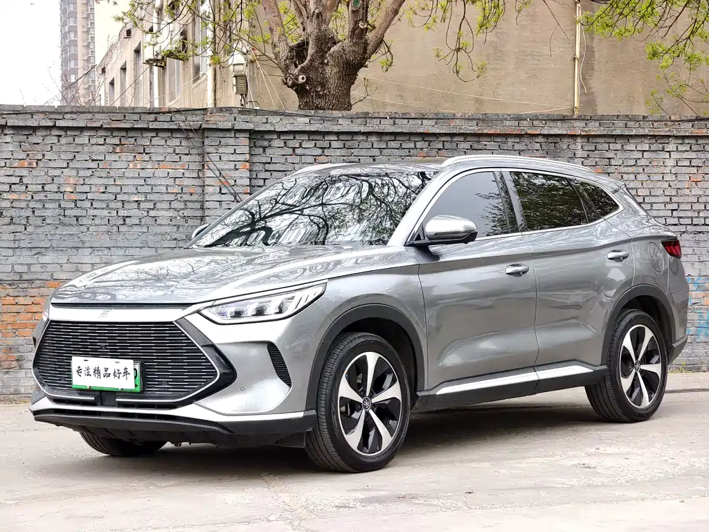 BYD PLUS New Energy 2021 — фото 1