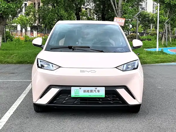 BYD Seagull 2024