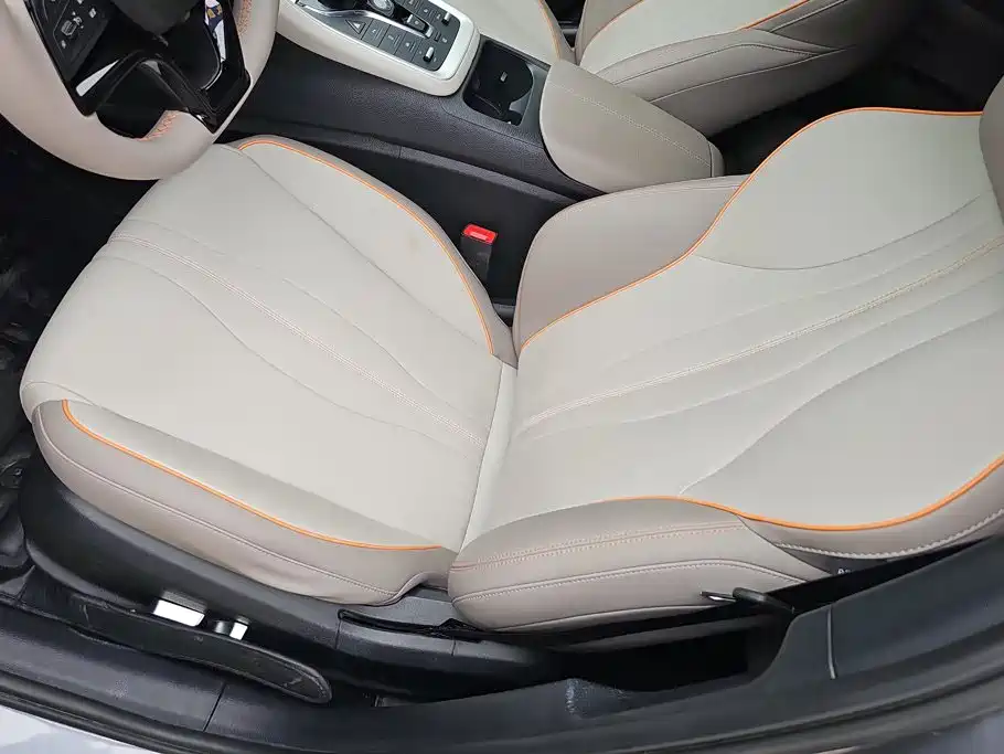 BYD Song Pro New Energy 2024 — фото 9