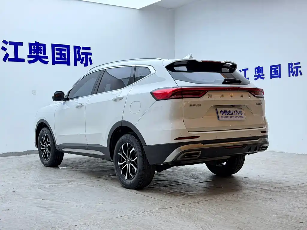 Haval H6 2023 — фото 20