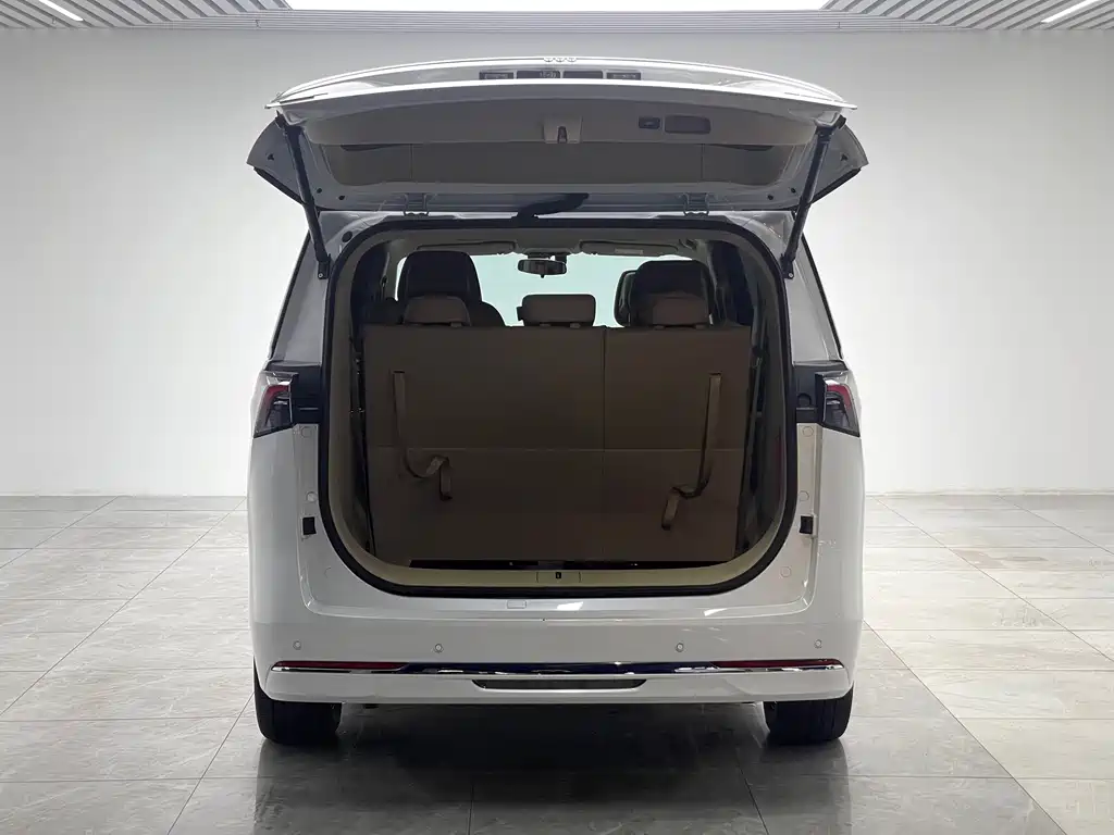 Buick GL8 Hybrid 2025 — фото 10