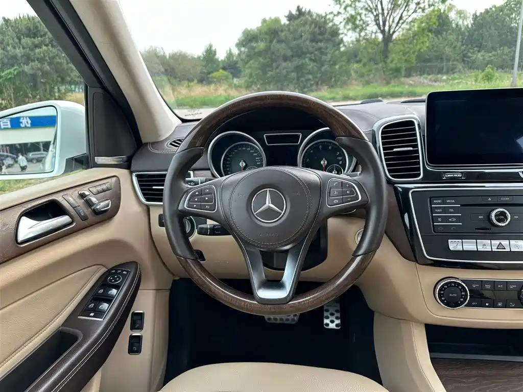 Mercedes-Benz GLS 2018 — фото 20