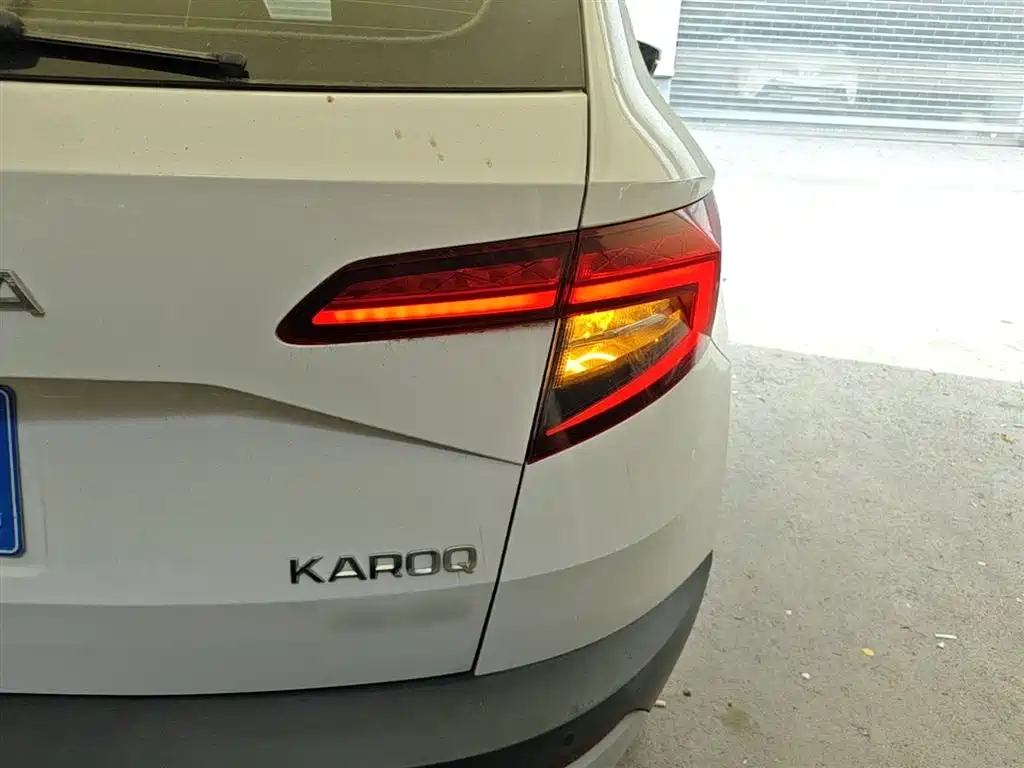 Skoda Karoq 2020 — фото 8