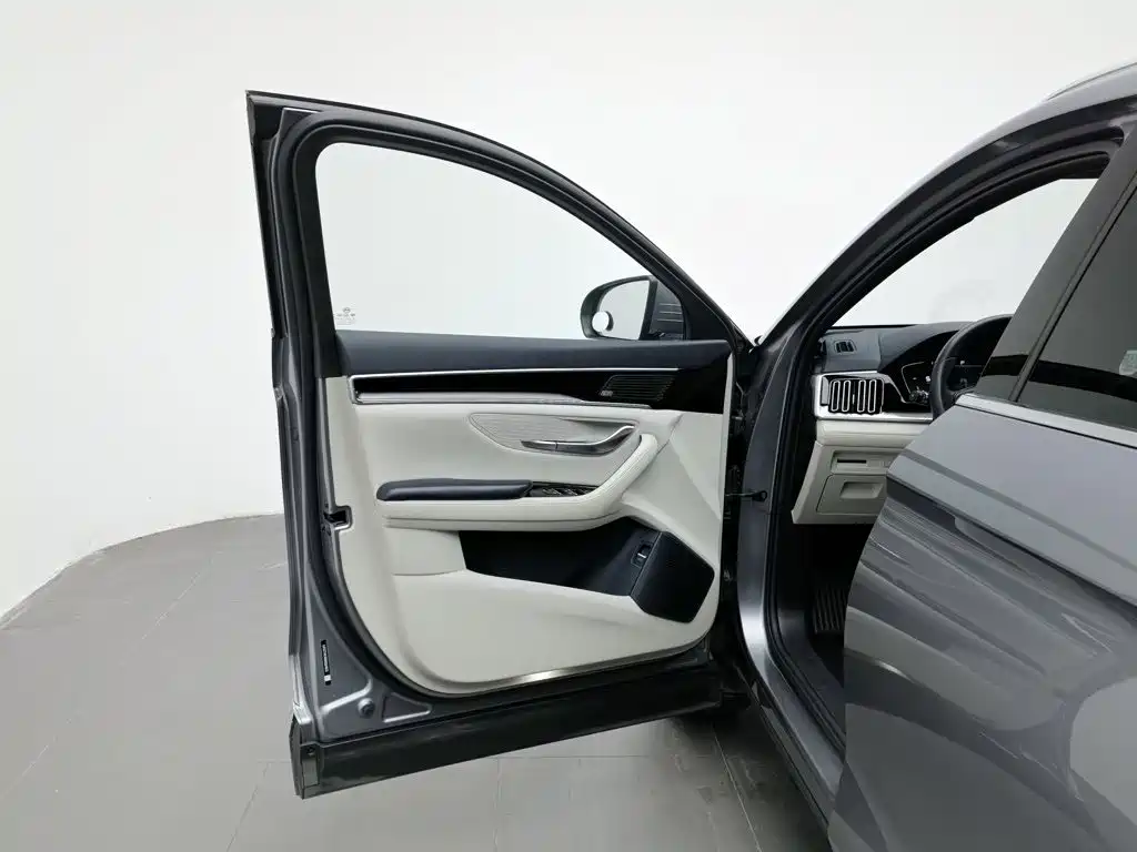 BYD Song PLUS New Energy 2022 — фото 8