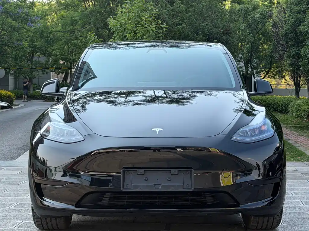 Tesla Model Y 2023 — фото 2