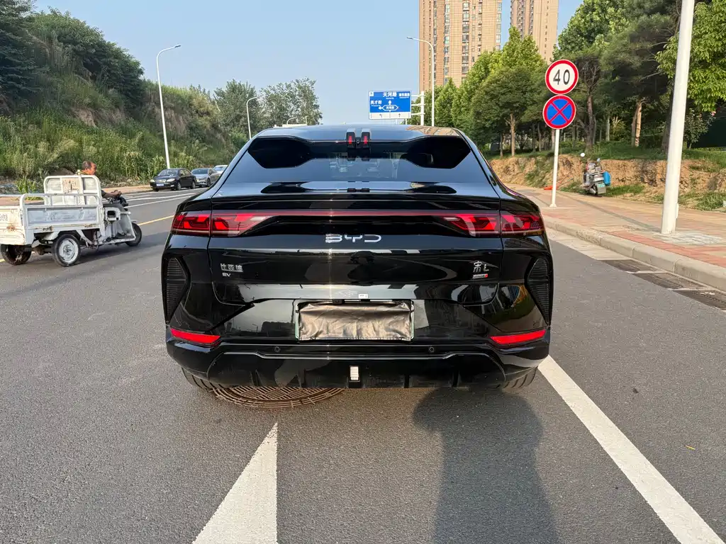 BYD L EV 2025