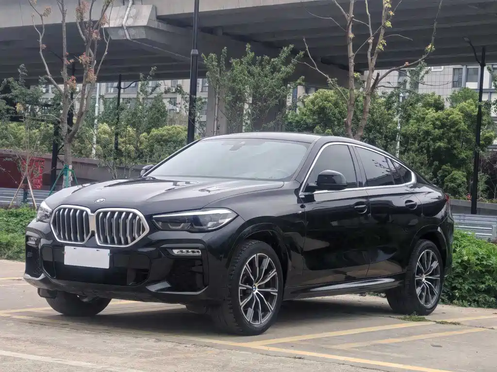 BMW X6 2021 — фото 1