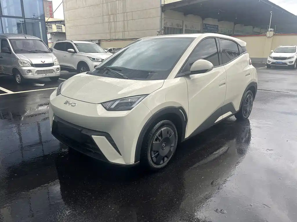 BYD Seagull 2024