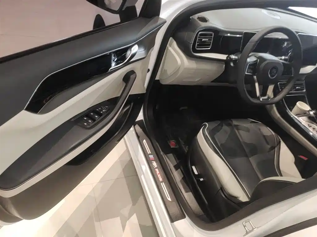 BYD Qin PLUS 2021 — фото 16
