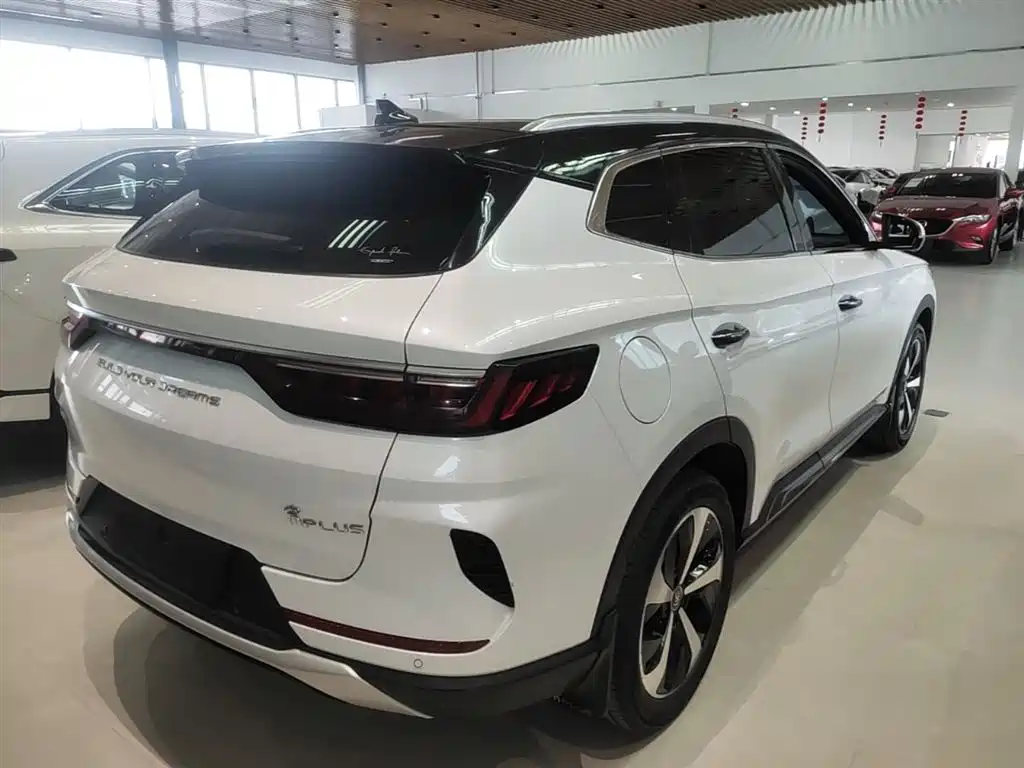 BYD PLUS New Energy 2022 — фото 7
