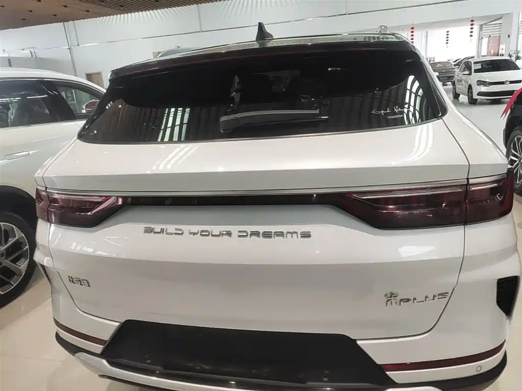 BYD PLUS New Energy 2022 — фото 6